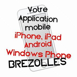 application mobile à BREZOLLES / EURE-ET-LOIR