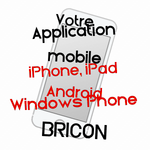 application mobile à BRICON / HAUTE-MARNE