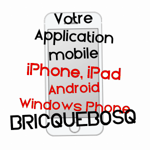application mobile à BRICQUEBOSQ / MANCHE