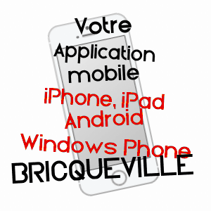 application mobile à BRICQUEVILLE / CALVADOS