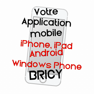 application mobile à BRICY / LOIRET