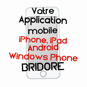 application mobile à BRIDORé / INDRE-ET-LOIRE