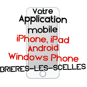 application mobile à BRIèRES-LES-SCELLéS / ESSONNE