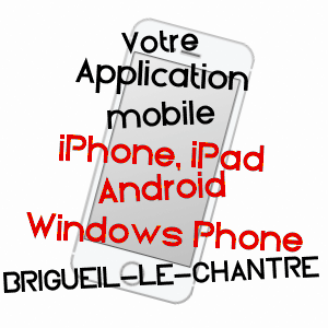 application mobile à BRIGUEIL-LE-CHANTRE / VIENNE