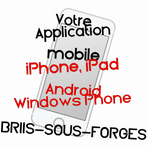 application mobile à BRIIS-SOUS-FORGES / ESSONNE