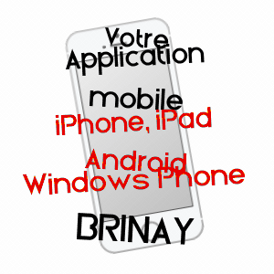 application mobile à BRINAY / NIèVRE