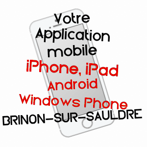 application mobile à BRINON-SUR-SAULDRE / CHER