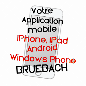 application mobile à BRUEBACH / HAUT-RHIN