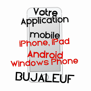 application mobile à BUJALEUF / HAUTE-VIENNE