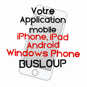 application mobile à BUSLOUP / LOIR-ET-CHER