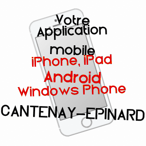 application mobile à CANTENAY-EPINARD / MAINE-ET-LOIRE