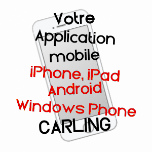 application mobile à CARLING / MOSELLE
