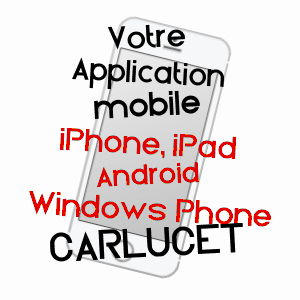 application mobile à CARLUCET / LOT