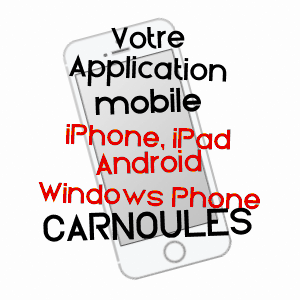 application mobile à CARNOULES / VAR