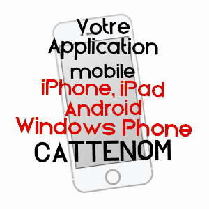 application mobile à CATTENOM / MOSELLE