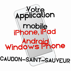 application mobile à CAUBON-SAINT-SAUVEUR / LOT-ET-GARONNE
