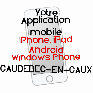 application mobile à CAUDEBEC-EN-CAUX / SEINE-MARITIME
