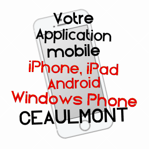 application mobile à CEAULMONT / INDRE