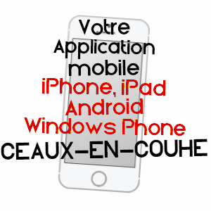 application mobile à CEAUX-EN-COUHé / VIENNE