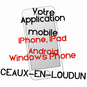 application mobile à CEAUX-EN-LOUDUN / VIENNE