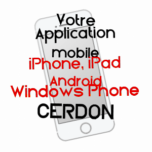 application mobile à CERDON / LOIRET