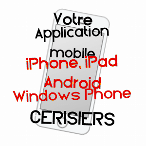 application mobile à CERISIERS / YONNE