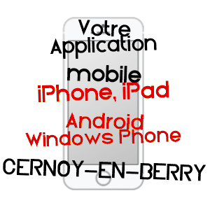 application mobile à CERNOY-EN-BERRY / LOIRET