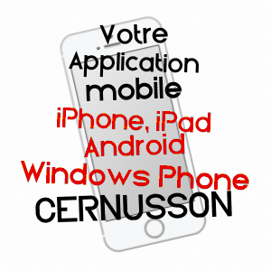 application mobile à CERNUSSON / MAINE-ET-LOIRE