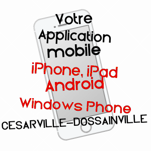 application mobile à CéSARVILLE-DOSSAINVILLE / LOIRET