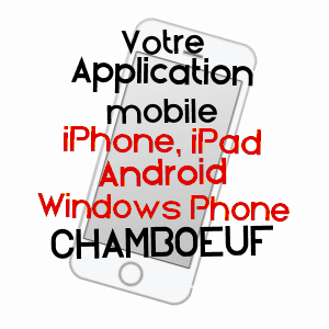 application mobile à CHAMBOEUF / LOIRE