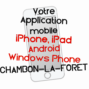 application mobile à CHAMBON-LA-FORêT / LOIRET