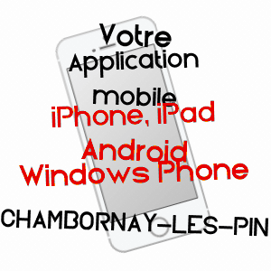 application mobile à CHAMBORNAY-LèS-PIN / HAUTE-SAôNE