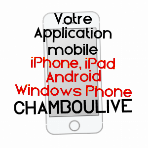 application mobile à CHAMBOULIVE / CORRèZE