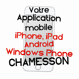 application mobile à CHAMESSON / CôTE-D'OR