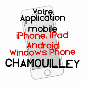 application mobile à CHAMOUILLEY / HAUTE-MARNE