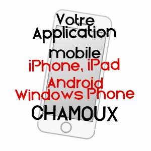 application mobile à CHAMOUX / YONNE