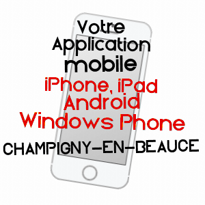 application mobile à CHAMPIGNY-EN-BEAUCE / LOIR-ET-CHER