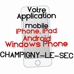 application mobile à CHAMPIGNY-LE-SEC / VIENNE