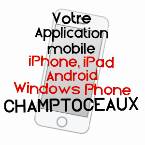 application mobile à CHAMPTOCEAUX / MAINE-ET-LOIRE