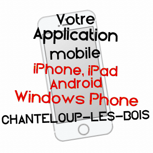 application mobile à CHANTELOUP-LES-BOIS / MAINE-ET-LOIRE