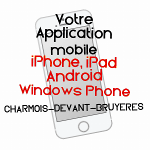 application mobile à CHARMOIS-DEVANT-BRUYèRES / VOSGES