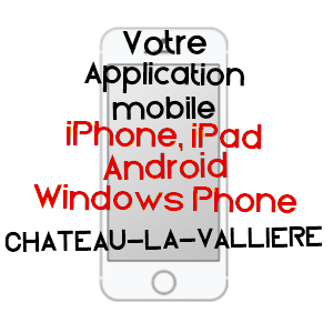 application mobile à CHâTEAU-LA-VALLIèRE / INDRE-ET-LOIRE