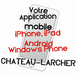 application mobile à CHâTEAU-LARCHER / VIENNE