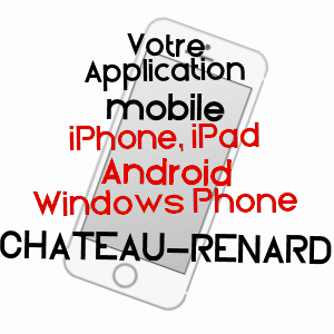 application mobile à CHâTEAU-RENARD / LOIRET