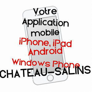 application mobile à CHâTEAU-SALINS / MOSELLE