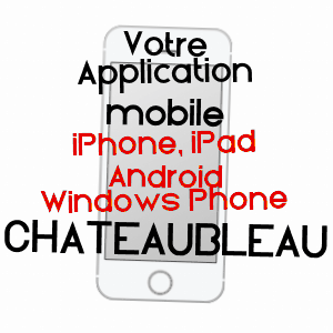 application mobile à CHâTEAUBLEAU / SEINE-ET-MARNE