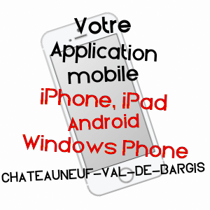 application mobile à CHâTEAUNEUF-VAL-DE-BARGIS / NIèVRE