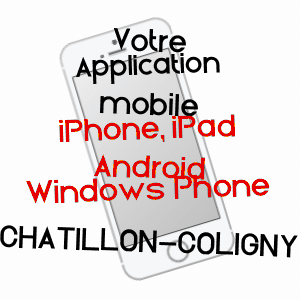 application mobile à CHâTILLON-COLIGNY / LOIRET