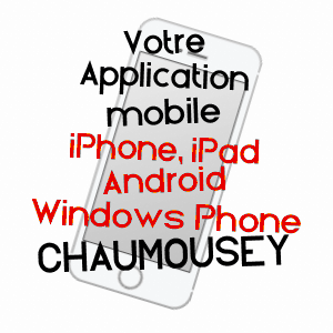 application mobile à CHAUMOUSEY / VOSGES