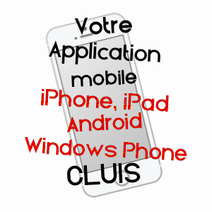 application mobile à CLUIS / INDRE